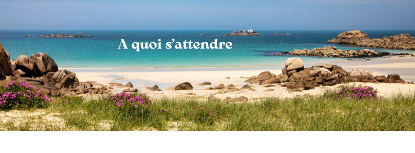 A quoi s'attendre A quoi s'attendre